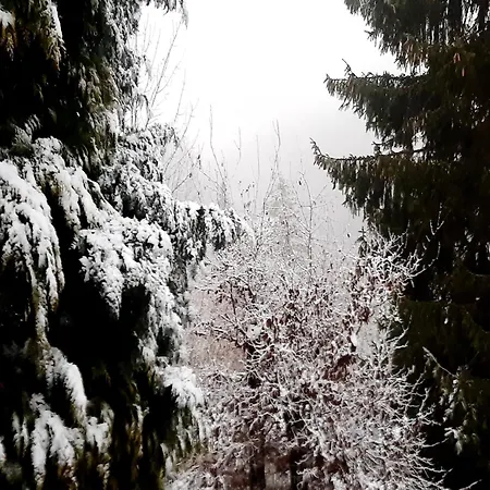 Im Harz Mit Wanderwegen, Cleaning Included Wieda