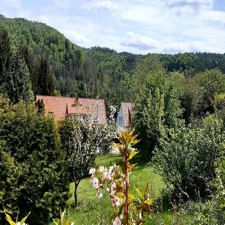 Im Harz Mit Wanderwegen, Cleaning Included בית נופש