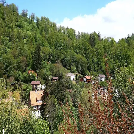 Im Harz Mit Wanderwegen, Cleaning Included בית נופש Wieda